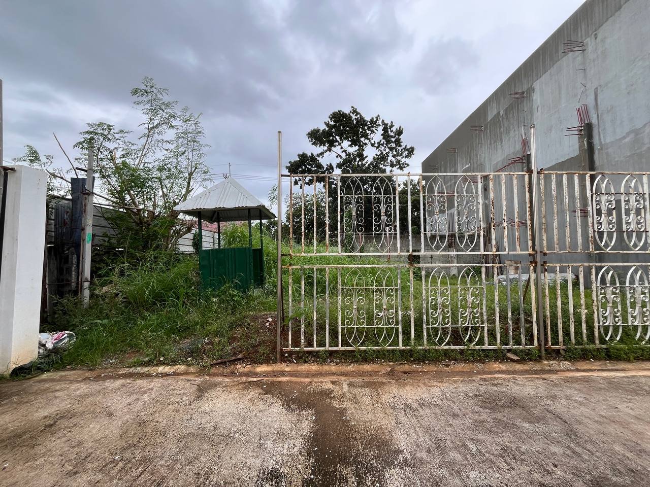 photo_2025-11-17_09-20-54